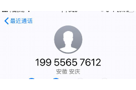 尧都为什么选择专业追讨公司来处理您的债务纠纷？